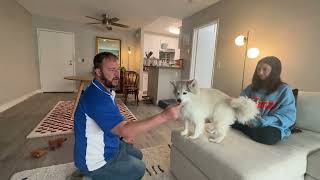 Training Ghost to Stop Barking