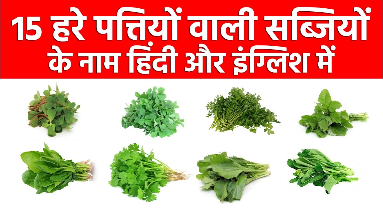 Green Leafy vegetables names in Hindi and English With Pictures हरे