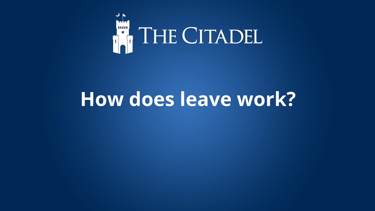 How Does Leave Work Nz