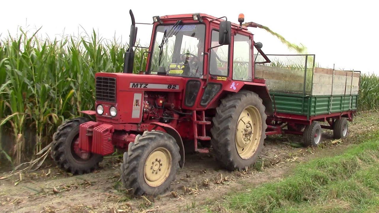 MTZ W QQrydzy czyli ****KOSZENIE KUKURYDZY 2014 z Mafią STRożyska