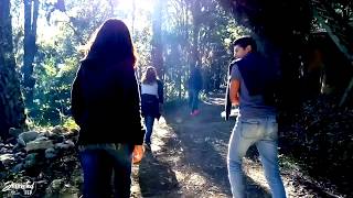 Flashback Status Real 2017 - Resumen