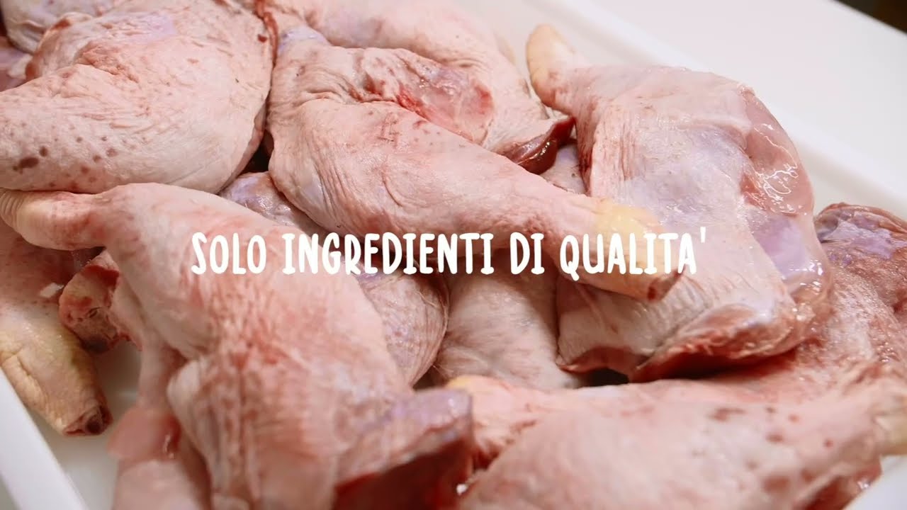 Real Bowl pappa fresca per cani, l'alimentazione sana e gustosa per il tuo cane.