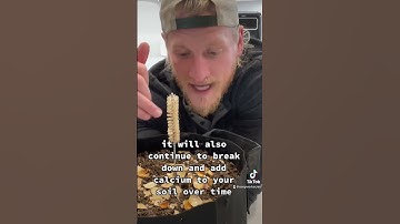 3 ways you can use egg shells in your garden!