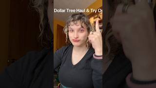 Dollar Tree Haul & Try On @KellyStrack @AlexisSimone #dollartree #makeup #fyp #shorts #mask