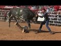 ¡BOLETOS AGOTADOS! 15 TOROS DE RANCHO LA CANDELARIA EN LA MONUMENTAL DE MORELIA 2017