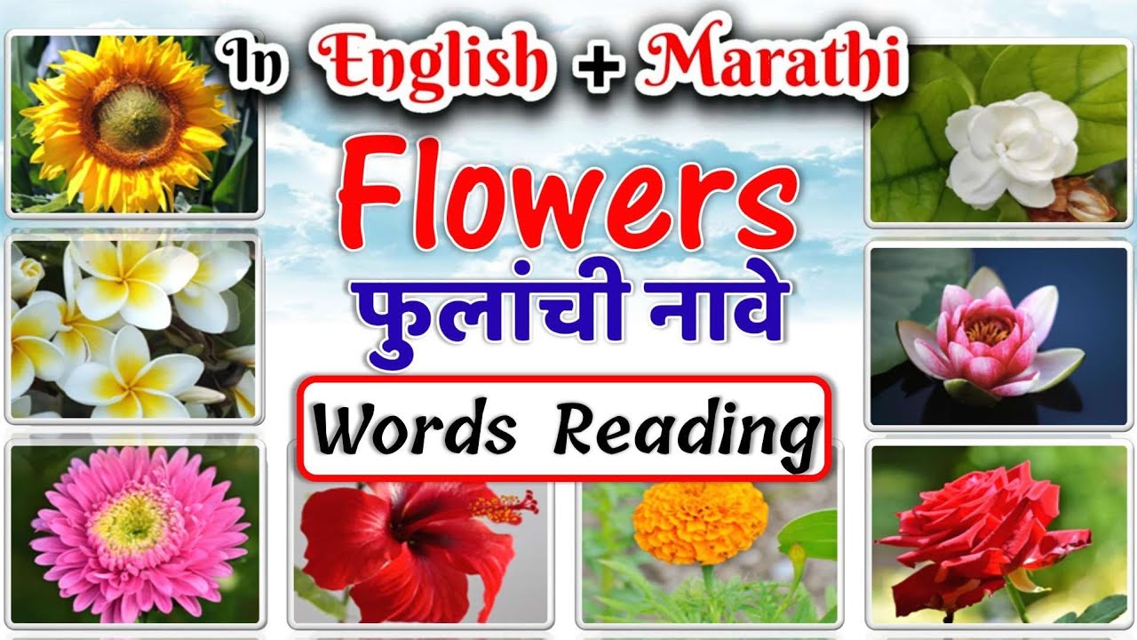 Flowers Name In English And Marathi