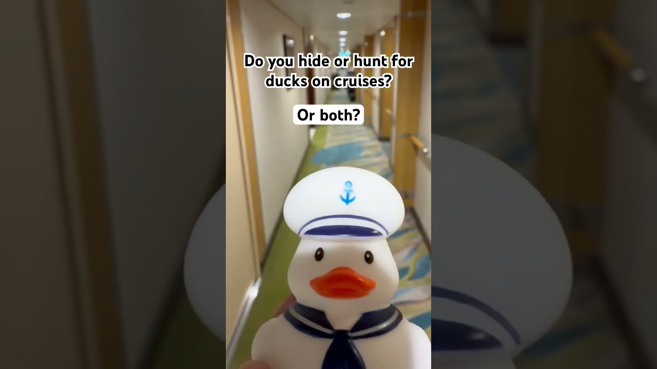 Are you a duck hider or a duck hunter? Or do you do both? #cruise #cruiseship
