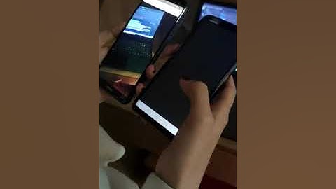 CSE 495 Graduation Project