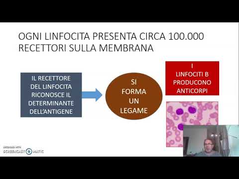 Video: Lo spazzamento delle membrane ha funzionato per te?