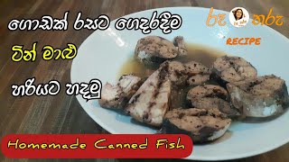 ගෙදරදීම රසට ටින් මාළු හදමු | Homemade canned Fish