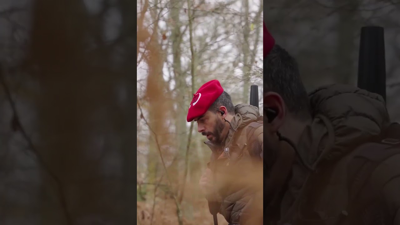 WILD BOAR ISLAND - FELIEW CHASSE