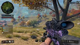 Random Clips Test