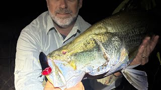 Night time Barra’s and check this croc out 😜