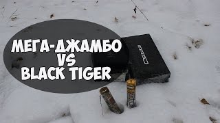 СРАВНИТЕЛЬНЫЙ ТЕСТ ПЕТАРД МЕГА ДЖАМБО И BLACK TIGER