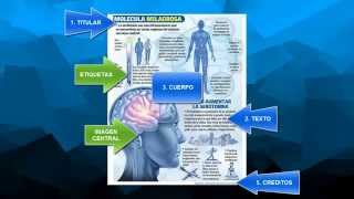 Psicología en Infografías