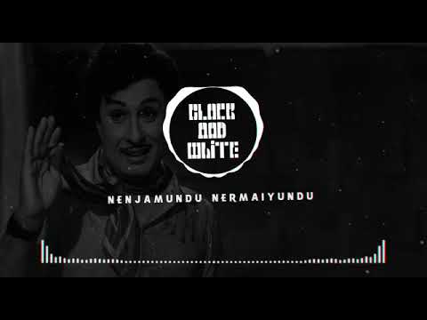 Nenjam undu nermai undu odu raja WhatsApp status remix