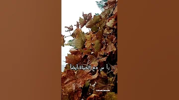 إياكم أن تيأسوا ريمي تفائل 