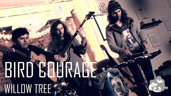 Acoustic Lodge: Bird Courage - Willow Tree (Chad V...
