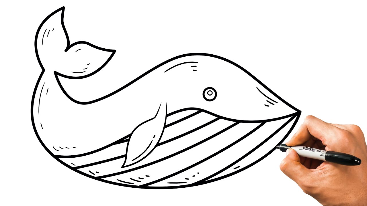 How to draw a whale fish very easy learn drawing step by