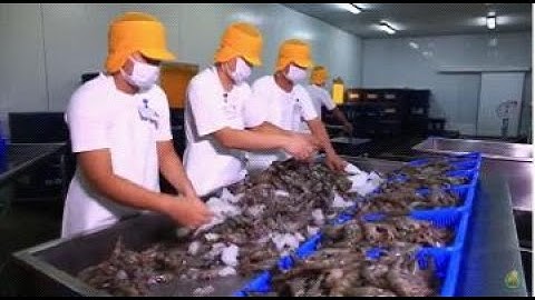 Fish Food Safety, Handling and Packaging