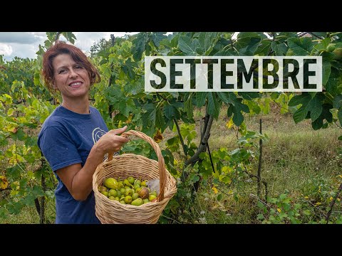 Video: Lista delle cose da fare per il giardinaggio: attività di settembre per la regione occidentale