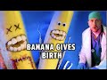 Emergency Fruit Surgery! Banana Gives Birth! Discount Dentist Ep 119 #Shorts