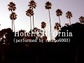 Hotel California（perfect cover）コピー