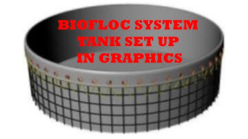 #Biofloc #Tank set up / lay out (Single & Multiple ) Graphically
