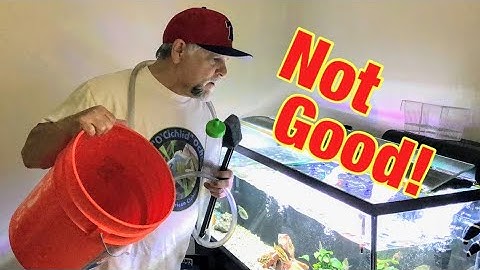 Top 5 Aquarium Water Change Disasters - Don