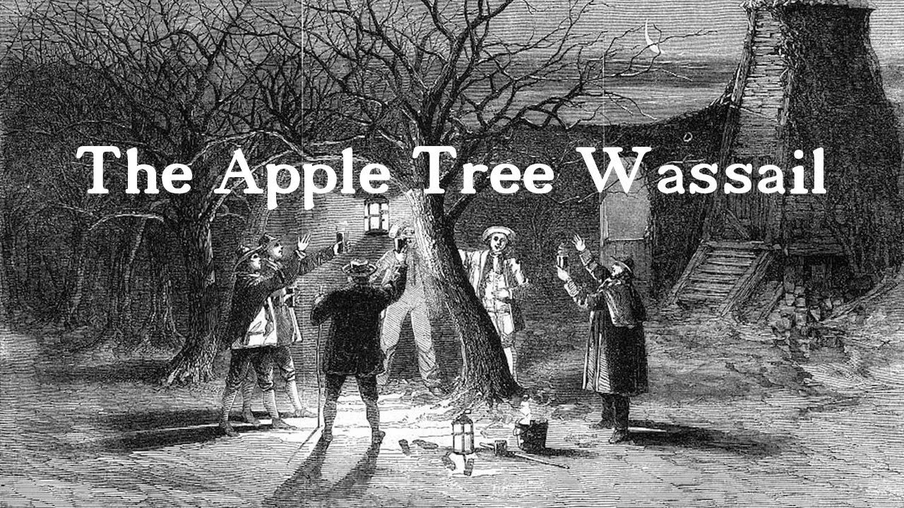 Tony Meade - Apple Tree Wassail (Official Lyric Video)
