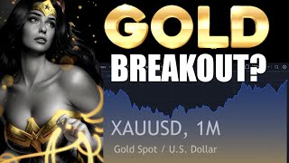 DIRE WARNING from the Lasso of TRUTH! Gold Hits New ALL TIME HIGHS in US Dollars, but thats Not Good