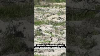 Golongan Berisiko Diingat Elak Terdedah Terlalu Lama Pada Cuaca Panas Ketika Beraya awaninews