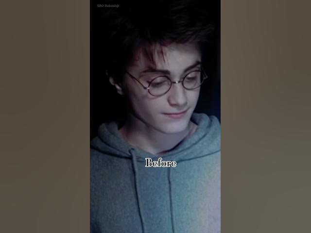 Harry Potter Actors Spirits Edit