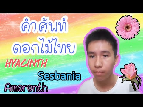 ชื่อดอกไม้ไทยในภาษาอังกฤษ เรียกว่าอะไร? | LoveENG ep.3 | Kasin TV