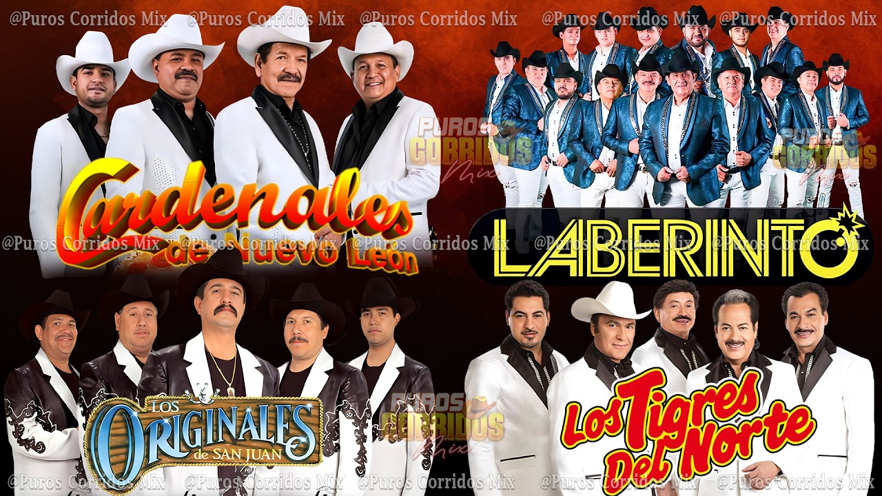 Grupo Laberinto, Cardenales de Nuevo León, Los Tigres, Los Invasores,... y Mas - Puros Corridos Mix