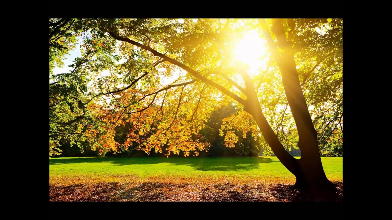 Guarda Daylight/Laci&Friends su YouTube Guarda Daylight/Laci&Friends su YouTube