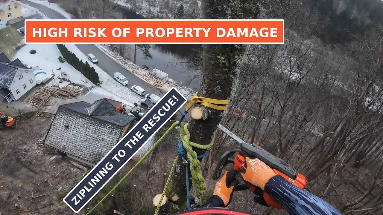 Tree removal in very steep terrain, high risk of property damage - YouTube