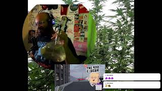STREAM FAILS! FRENCH BONG KISS
