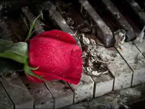 Secret Garden მანდილოსნებო გილოცავთ