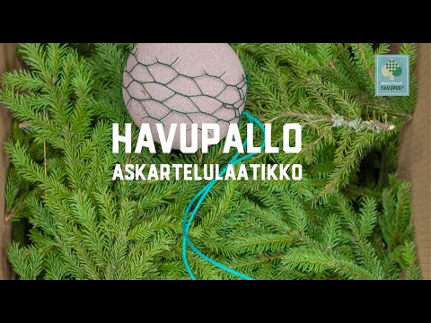 Video: Havupuut Maisemasuunnittelussa