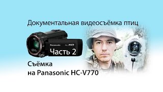 Документальная видеосъемка птиц. Часть 2. Съемка Panasonic HC-V770