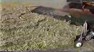 Sund Raking Pickup in Beans