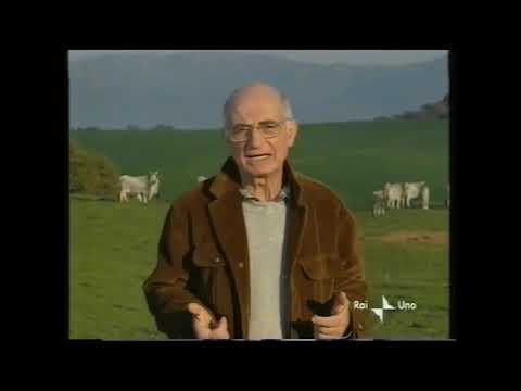 Runo - Sequenza pubblicitaria del 25 Dicembre 2000 (1/4) HD 720/50p