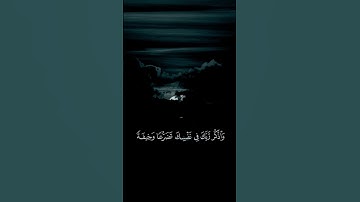 سورة الأعراف - القارئ ياسر الدوسري