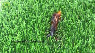 Jiangsen Artificial Grass Flame Retardant Test