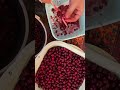 The easiest way to remove pit🍒     #cherry #shorts #chopsticks