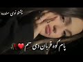 پشتو ښایسته سندره پام کوه قربان دی شم Pashto Song پشتو ښایسته سندره پام کوه قربان دی شم Pashto Song