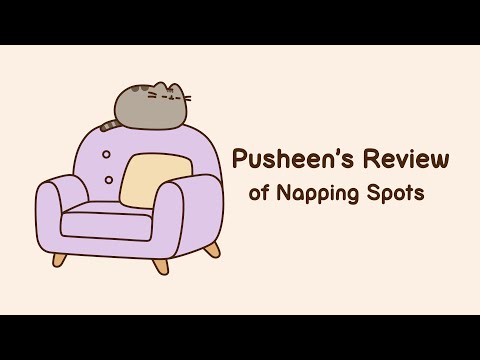 Pusheen's Review of Napping Spots