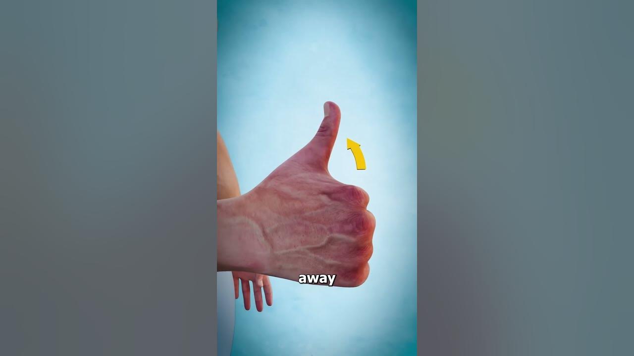 What Does This Long Thumb Muscle Do  🤔