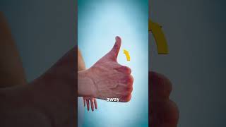 What Does This Long Thumb Muscle Do  🤔